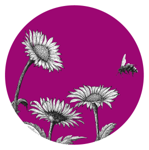 immagine ape in volo sui fiori evidenziata